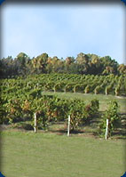 Southwest Michigan Directory