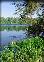 Southwest Michigan Directory