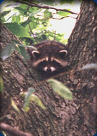 Southwest Michigan Directory