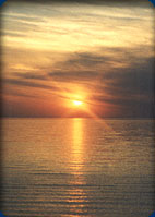 Southwest Michigan Directory