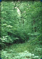 Southwest Michigan Directory