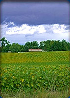 Southwest Michigan Directory