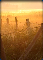 Southwest Michigan Directory